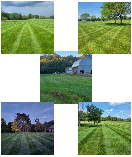 lawn mowing service Seymour Indiana