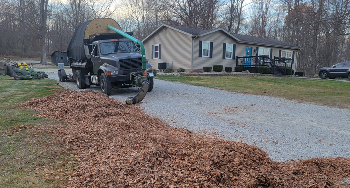 leaf cleanup Seymour Indiana